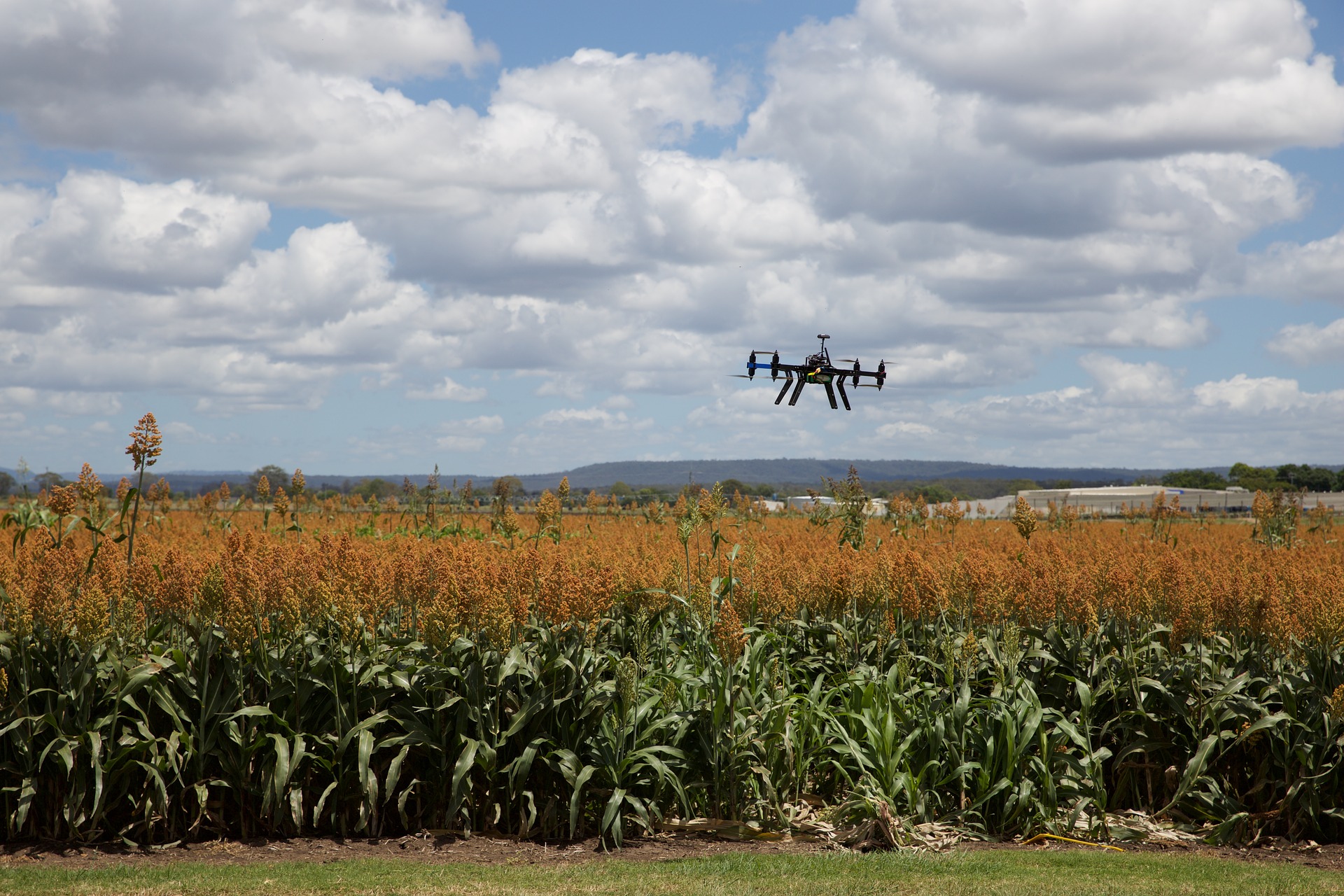 https://relay.horasis.org/wp-content/uploads/2021/05/agriculture-3182252_1920.jpg