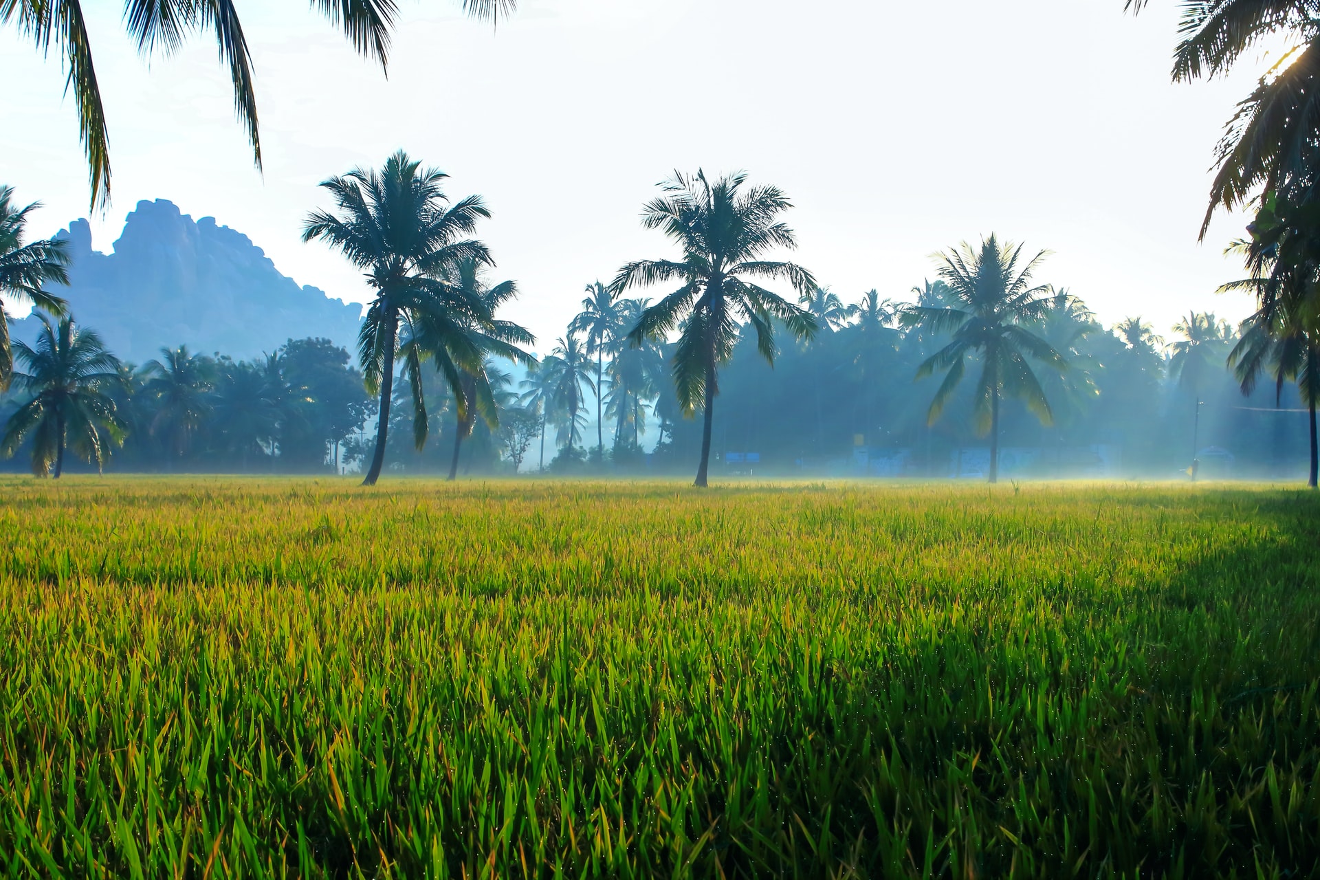 https://relay.horasis.org/wp-content/uploads/2021/07/nandhu-kumar-03JtNfCubFw-unsplash-1.jpg