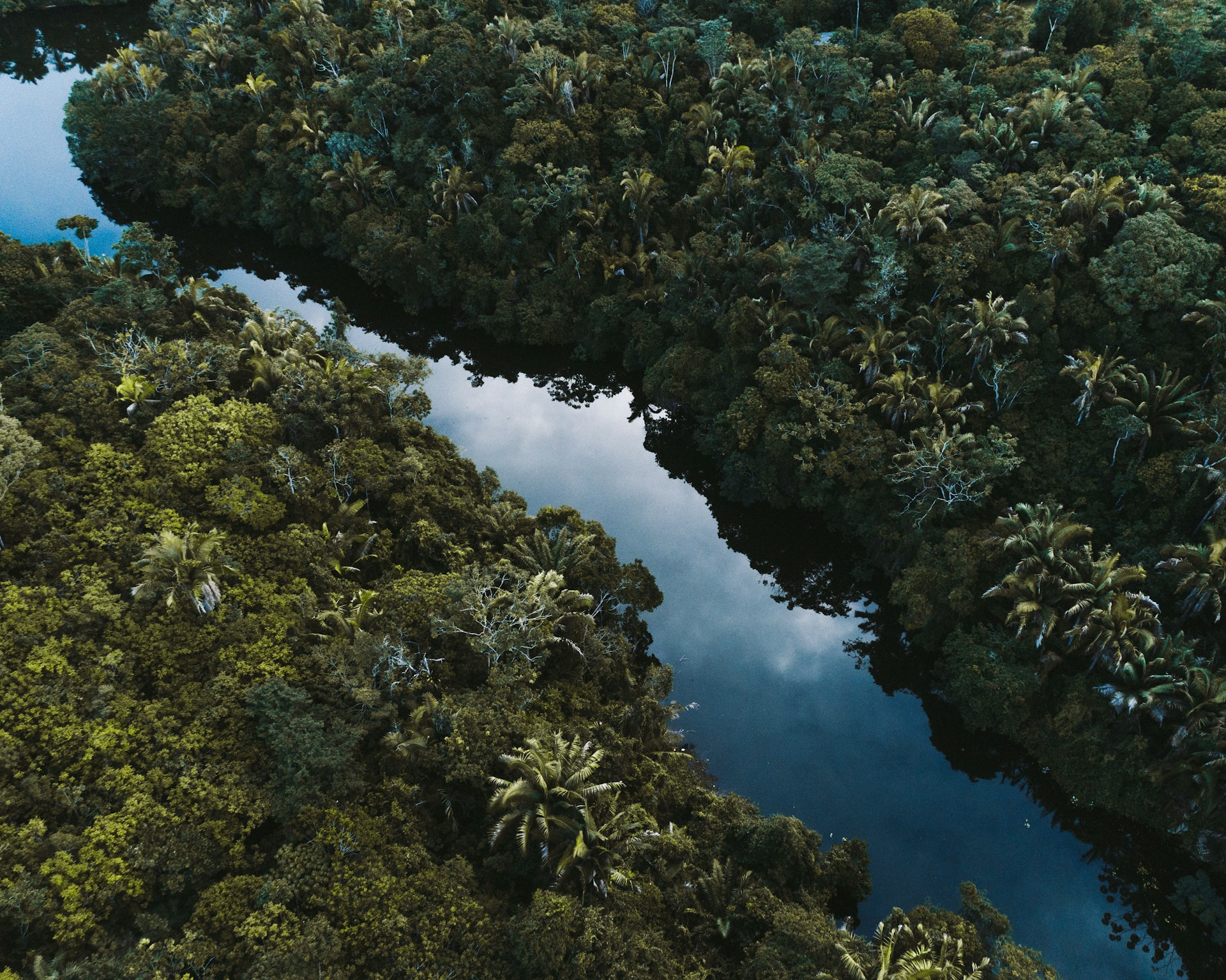 https://relay.horasis.org/wp-content/uploads/2024/08/felipe-dias-ErCSc5Nef2c-unsplash.jpg